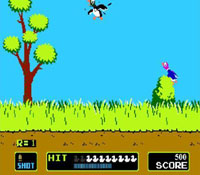 Duck Hunt